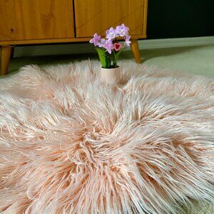 Light Pink Shag Area Rug,Soft Plush Accent Rug for Bedroom, Dorm, or Girls Room
